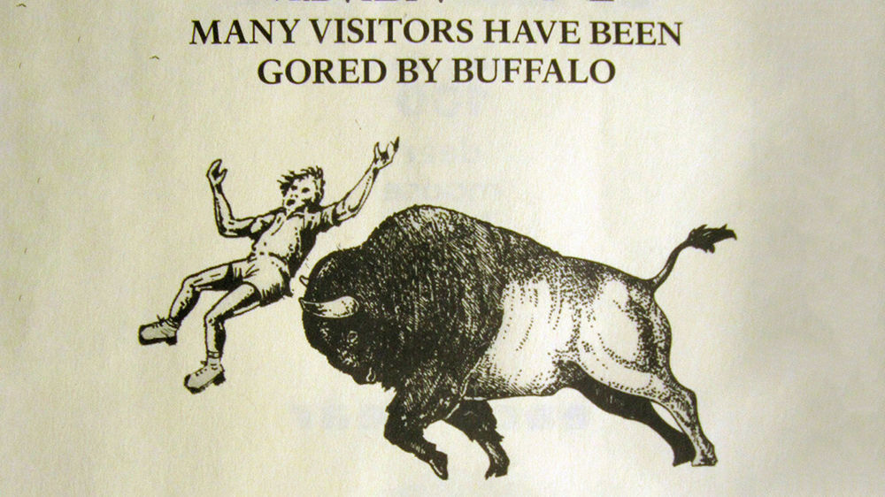 Things not to do in Yellowstone